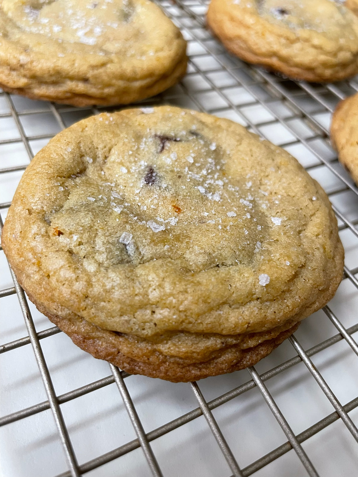 Zesty Choco Chip Cookie